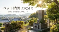 ペット納骨は大分でどのように行うのが良い？