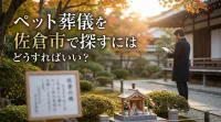 ペット葬儀を佐倉市で探すにはどうすればいい？