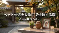 ペット葬儀を長浜市で依頼する際はどこに頼むべき？