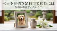 ペット葬儀を足利市で頼むには？