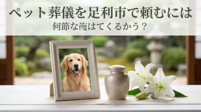 ペット葬儀を足利市で頼むには？