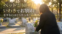 ペット霊園 いわきでお別れをするにはどうすべき？