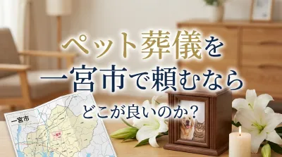 ペット葬儀を一宮市で頼むならどこが良いのか？