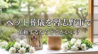 ペット葬儀を習志野市で依頼するならどこがいい？