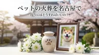 ペットの火葬を名古屋で行うにはどうすればいいの？