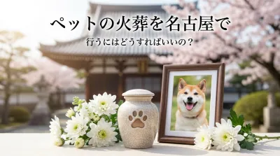 ペットの火葬を名古屋で行うにはどうすればいいの？