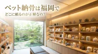 ペット納骨は福岡でどこに頼るのが正解なの？