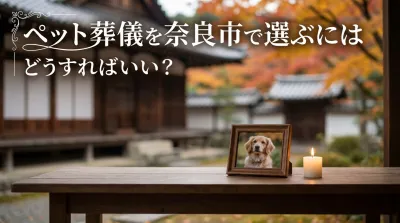 ペット葬儀を奈良市で選ぶにはどうすればいい？