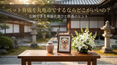 ペット葬儀を丸亀市でするならどこがいいの？