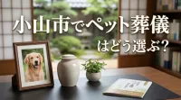 小山市でペット葬儀はどう選ぶ？