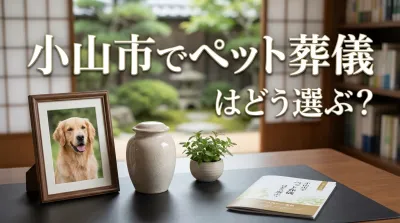 小山市でペット葬儀はどう選ぶ？