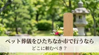ペット葬儀をひたちなか市で行うならどこに頼むべき？