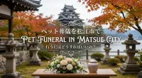 ペット葬儀を松江市で行うにはどうすればいいの？