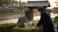 ペット葬儀を戸田市で行うには？