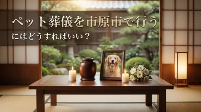 ペット葬儀を市原市で行うにはどうすればいい？