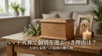 ペット火葬で個別を選ぶべき理由は？