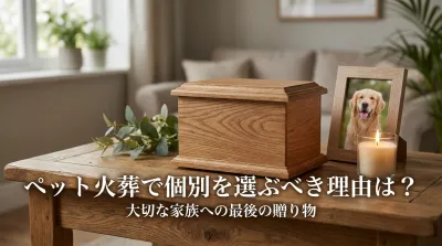 ペット火葬で個別を選ぶべき理由は？