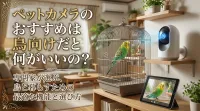 ペットカメラのおすすめは鳥向けだと何がいいの？