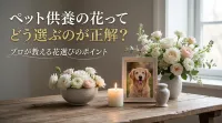 ペット供養の花ってどう選ぶのが正解？