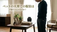 ペットの火葬での服装は平服で大丈夫なのか？