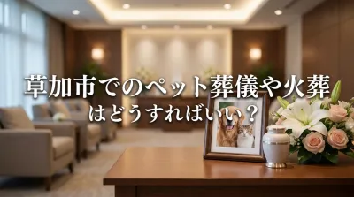 草加市でのペット葬儀や火葬はどうすればいい？