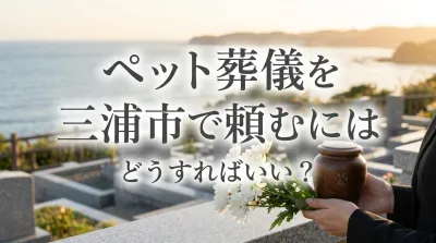 ペット葬儀を三浦市で頼むにはどうすればいい？