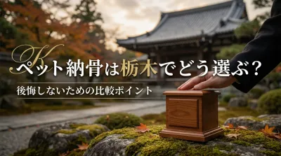 ペット納骨は栃木でどう選ぶ？