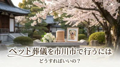 ペット葬儀を市川市で行うにはどうすればいいの？