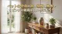 ペットの骨壺の置き場所は風水でリビングの東南が良いって本当？