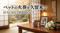 ペットの火葬を久留米で行うにはどうすればいい？