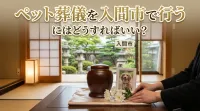 ペット葬儀を入間市で行うにはどうすればいい？