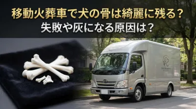 移動火葬車で犬の骨は綺麗に残る？失敗や灰になる原因は？