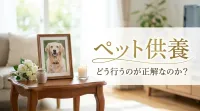 ペット供養はどう行うのが正解なのか？