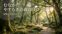 むなかた やすらぎの森の口コミは実際どうなのか？
