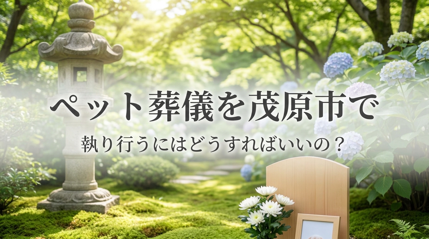 ペット葬儀を茂原市で執り行うにはどうすればいいの?