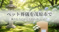 ペット葬儀を茂原市で執り行うにはどうすればいいの？