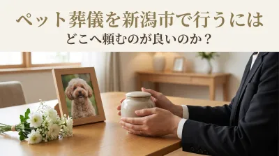 ペット葬儀を新潟市で行うにはどこへ頼むのが良いのか？