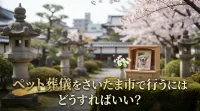 ペット葬儀をさいたま市で行うにはどうすればいい？
