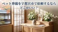 ペット葬儀を宇都宮市で依頼するならどこがいい？