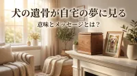 犬の遺骨が自宅の夢に見る意味とメッセージとは？