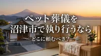 ペット葬儀を沼津市で執り行うならどこに頼むべき？