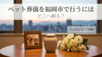 ペット葬儀を福岡市で行うにはどこへ頼る？