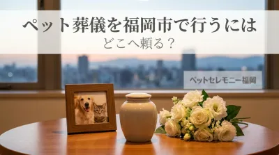 ペット葬儀を福岡市で行うにはどこへ頼る？