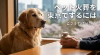 ペット火葬を東京でするにはどうすればいい？
