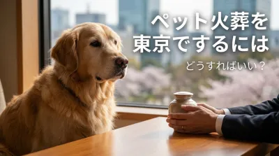 ペット火葬を東京でするにはどうすればいい？