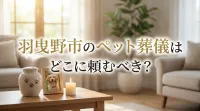 羽曳野市のペット葬儀はどこに頼むべき？
