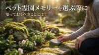 ペット霊園メモリーを選ぶ際に知っておくべきこととは？