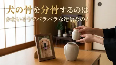 犬の骨を分骨するのはかわいそうでバラバラな迷信なの？