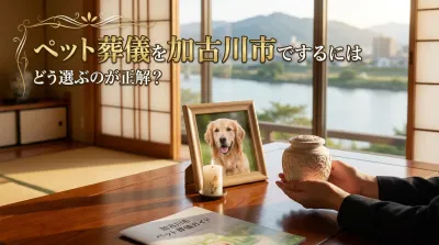 ペット葬儀を加古川市でするにはどう選ぶのが正解？