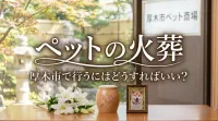 ペットの火葬を厚木市で行うにはどうすればいい？